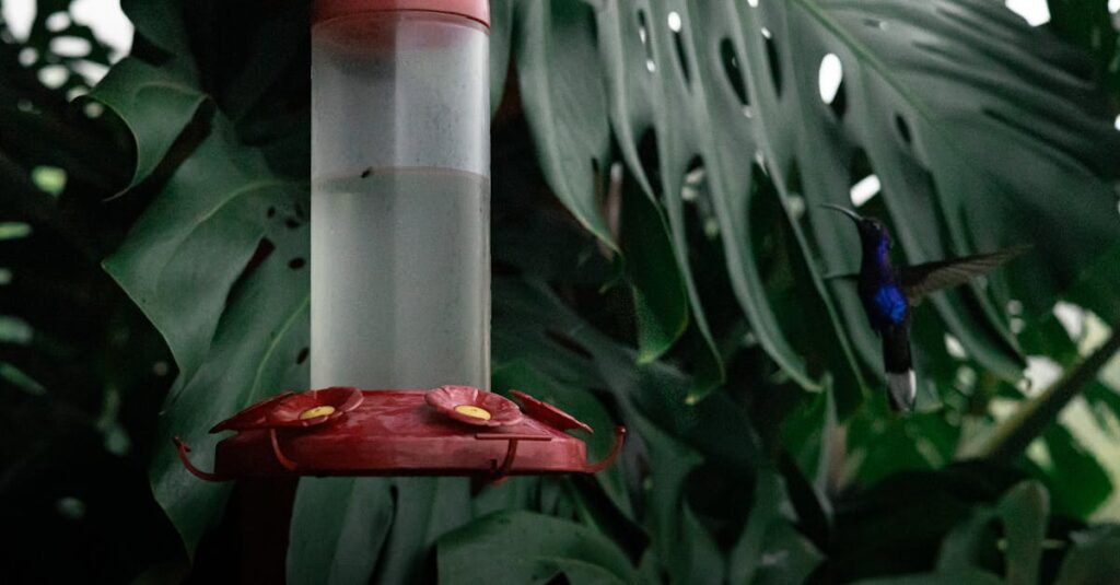 découvrez l'évolution des prix de l'iphone au fil des années et analysez les tendances majeures qui ont influencé son positionnement sur le marché.