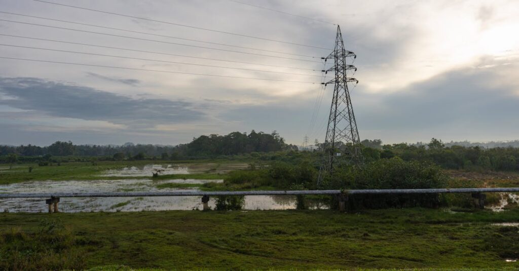découvrez octopus energy, fournisseur d'électricité renouvelable, innovant et engagé pour un avenir énergétique durable et respectueux de l'environnement.