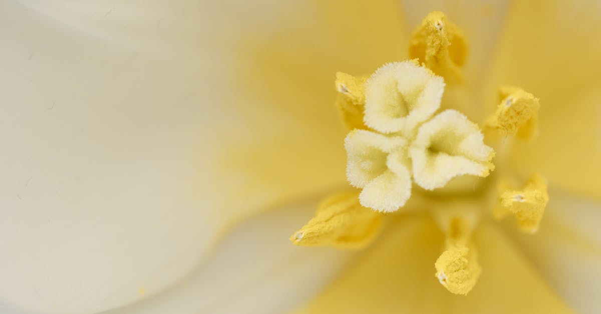 découvrez nos cartes prépayées pratiques et sécurisées, idéales pour gérer votre budget sans dépassement. rechargez facilement et utilisez partout.