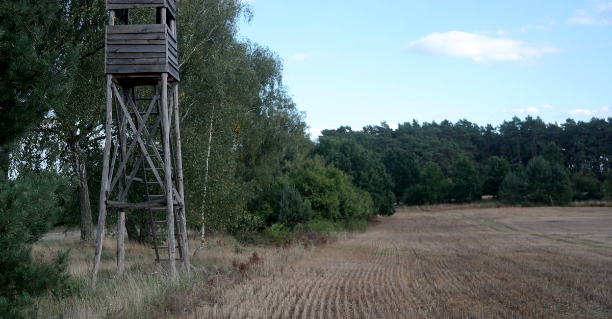 regardez la ligue 1 en direct sur dazn via sfr et profitez des meilleurs matchs de football français en streaming hd.