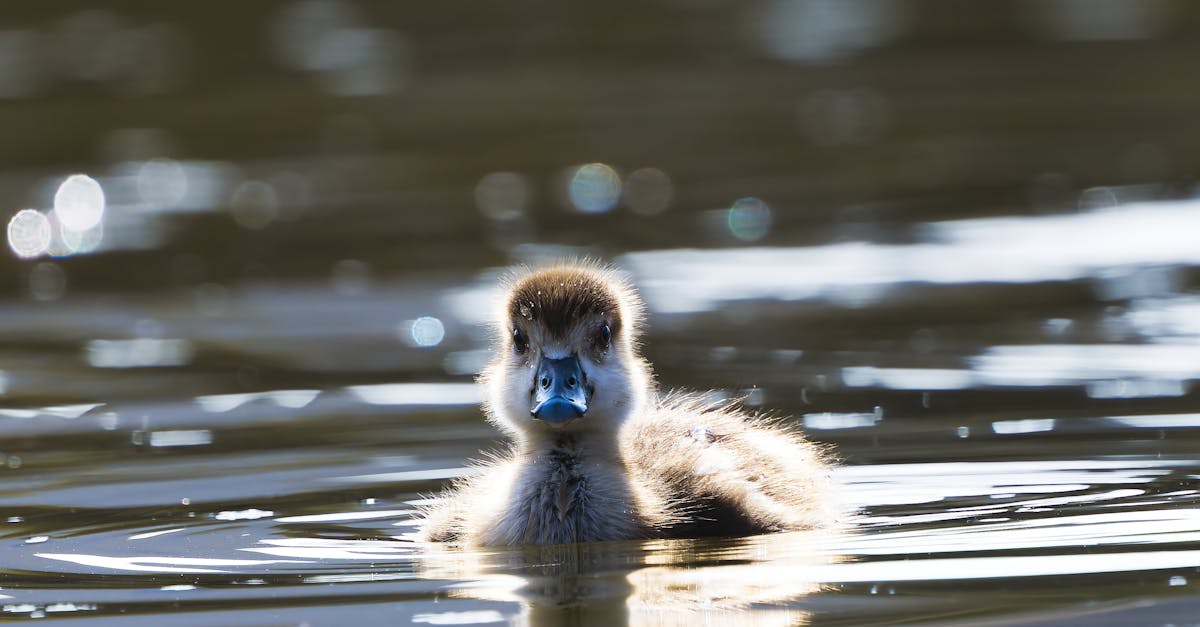 abonnez-vous à notre service de livraison d'eau et recevez chez vous une eau pure et fraîche, selon vos besoins. flexible, économique et pratique, découvrez une offre adaptée à votre quotidien.