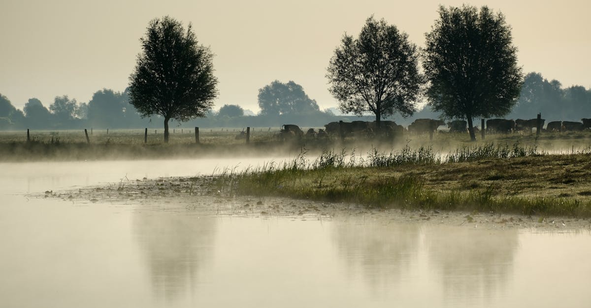 découvrez notre service d'abonnement à l'eau : une livraison régulière d'eau pure et fraîche directement chez vous, simple, pratique et écologique. profitez de formules flexibles adaptées à vos besoins !