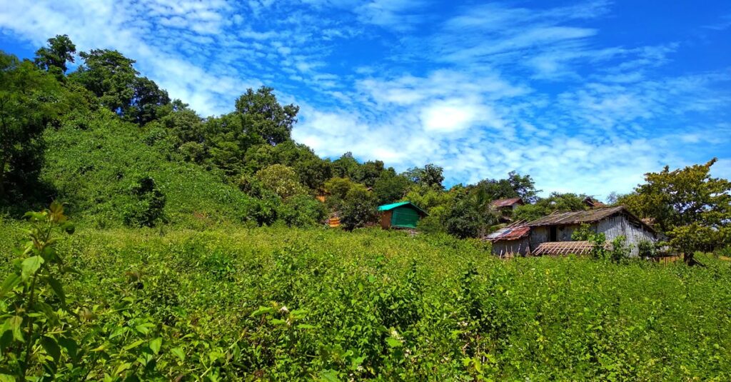 découvrez notre hangar agricole robuste et spacieux, idéal pour le stockage de matériel, de récoltes et pour protéger vos équipements agricoles toute l'année.
