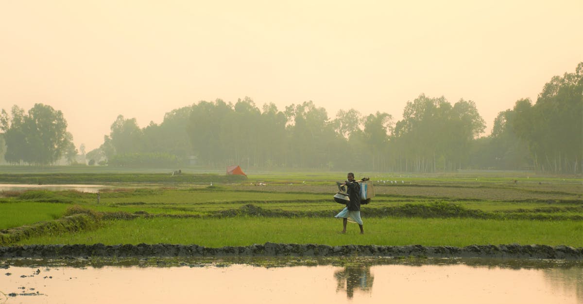 découvrez notre hangar agricole robuste et spacieux, idéal pour protéger vos équipements et récoltes tout au long de l'année.