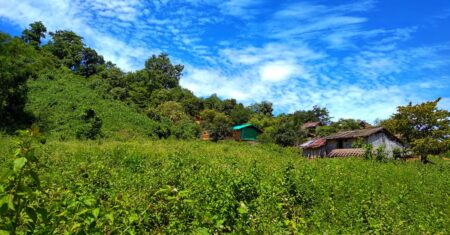 découvrez notre hangar agricole robuste et spacieux, idéal pour le stockage de matériel, de récoltes et pour protéger vos équipements agricoles toute l'année.