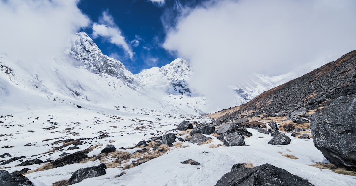 découvrez alpiq, leader européen des solutions énergétiques innovantes et durables pour un avenir responsable.