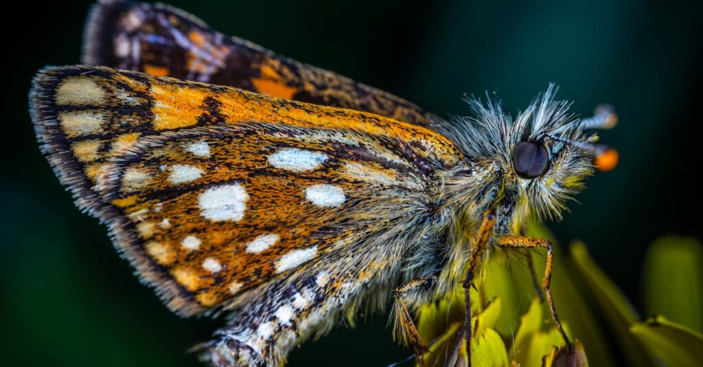 découvrez boursorama pro, la solution dédiée aux professionnels pour gérer efficacement leurs finances et investissements en ligne.