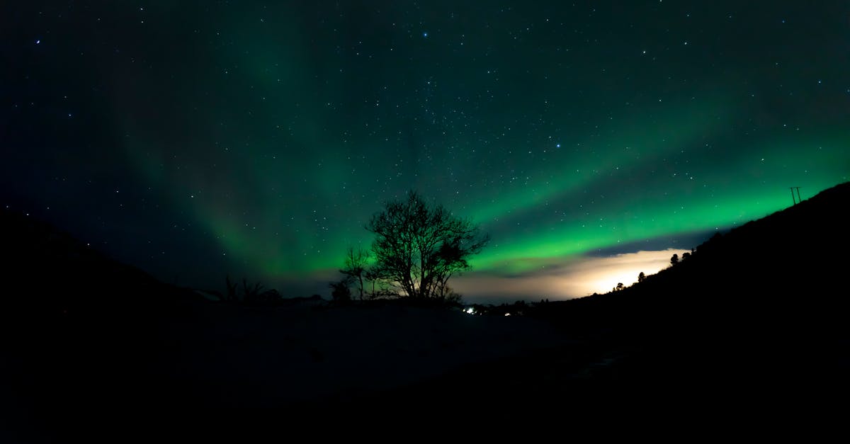 découvrez l'offre d'abonnement disney plus avec bouygues telecom et profitez de contenus exclusifs pour toute la famille à prix avantageux.