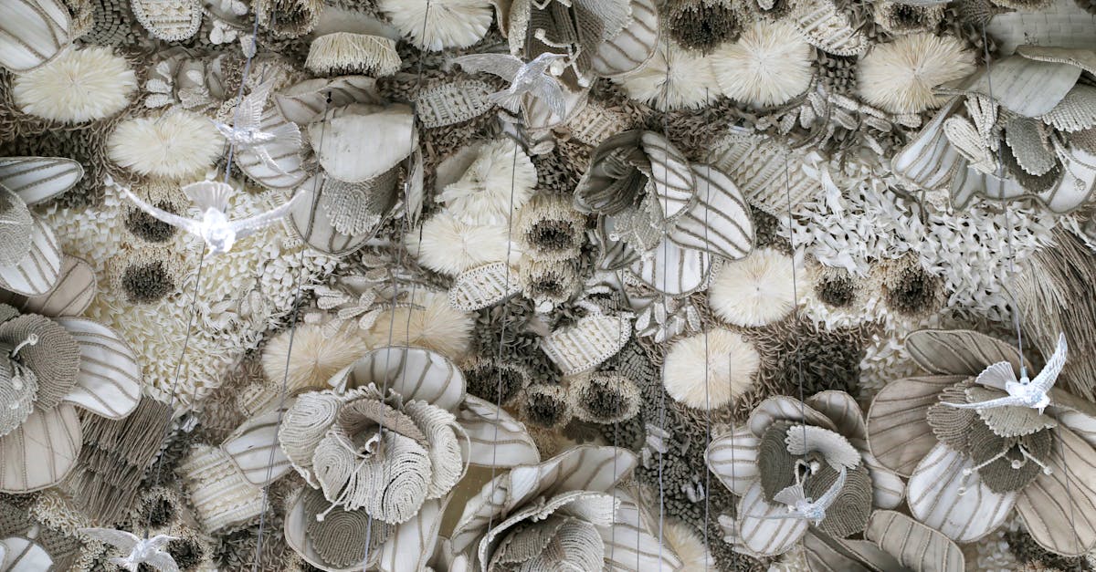 installation de fibre optique rapide et fiable pour une connexion internet ultra-rapide, adaptée aux particuliers et professionnels.