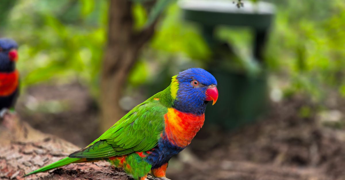 découvrez orange airbox, la solution mobile pour une connexion internet rapide et flexible partout où vous allez. profitez d'une navigation fluide avec orange.