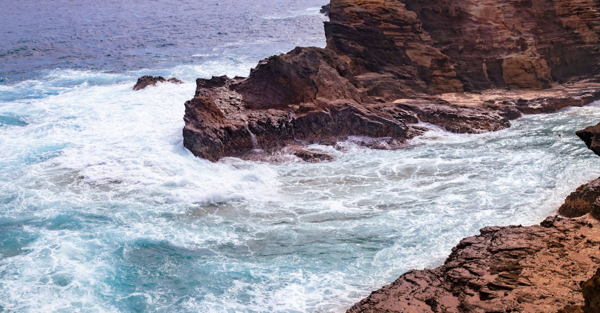 découvrez tout sur le rib : définition, utilisation et comment le demander pour vos opérations bancaires en toute simplicité.