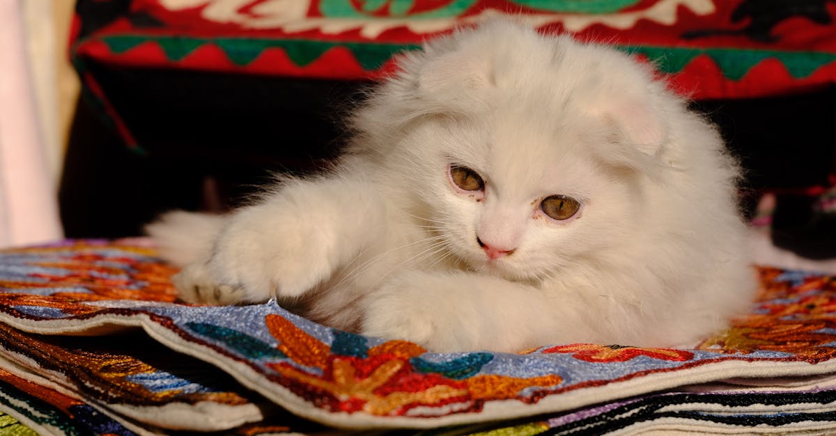 trouvez les coordonnées de totalenergies pour contacter le service client, support technique ou informations générales rapidement et facilement.