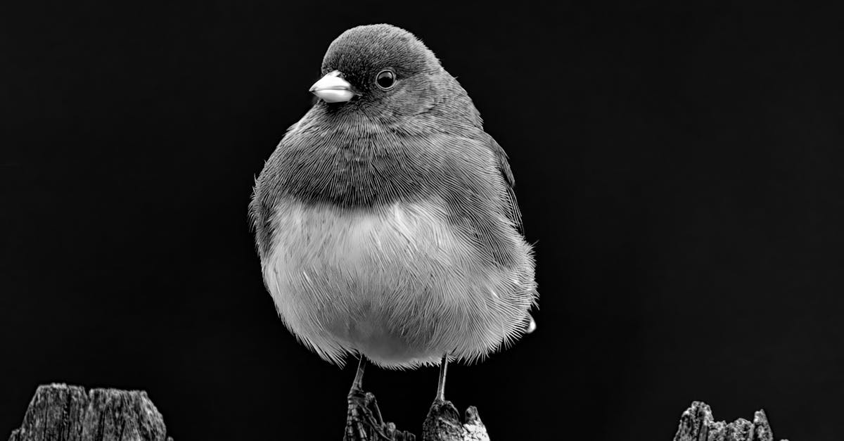 retrouvez toutes les informations de contact de totalenergies : service client, support technique et assistance pour vos besoins énergétiques.