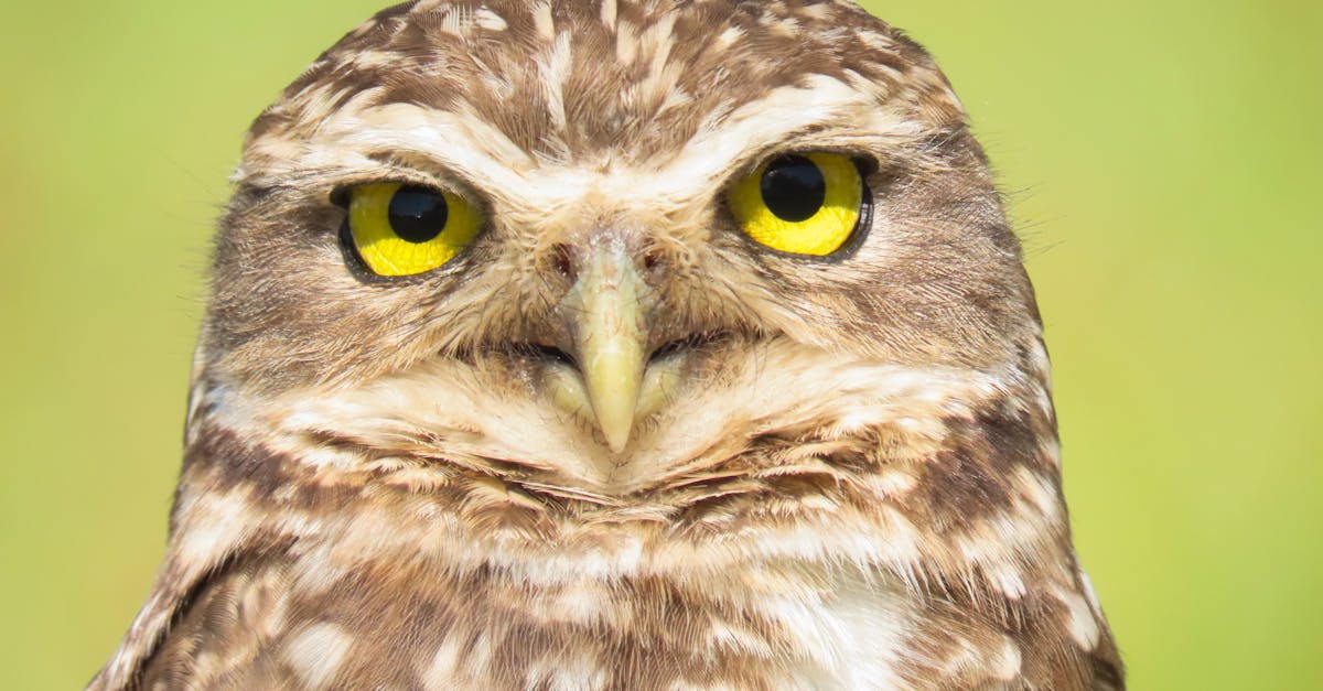 contactez totalenergies facilement : découvrez toutes les coordonnées pour joindre le service client, l'assistance et les bureaux locaux de totalenergies.