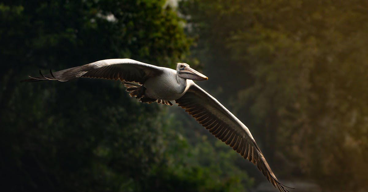 découvrez le coût de l'eau et comment optimiser votre consommation pour réduire vos dépenses tout en préservant cette ressource précieuse.