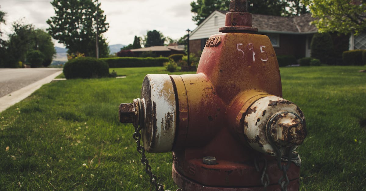 découvrez nos solutions fiables et durables pour l'approvisionnement en eau, adaptées à tous vos besoins domestiques et industriels.