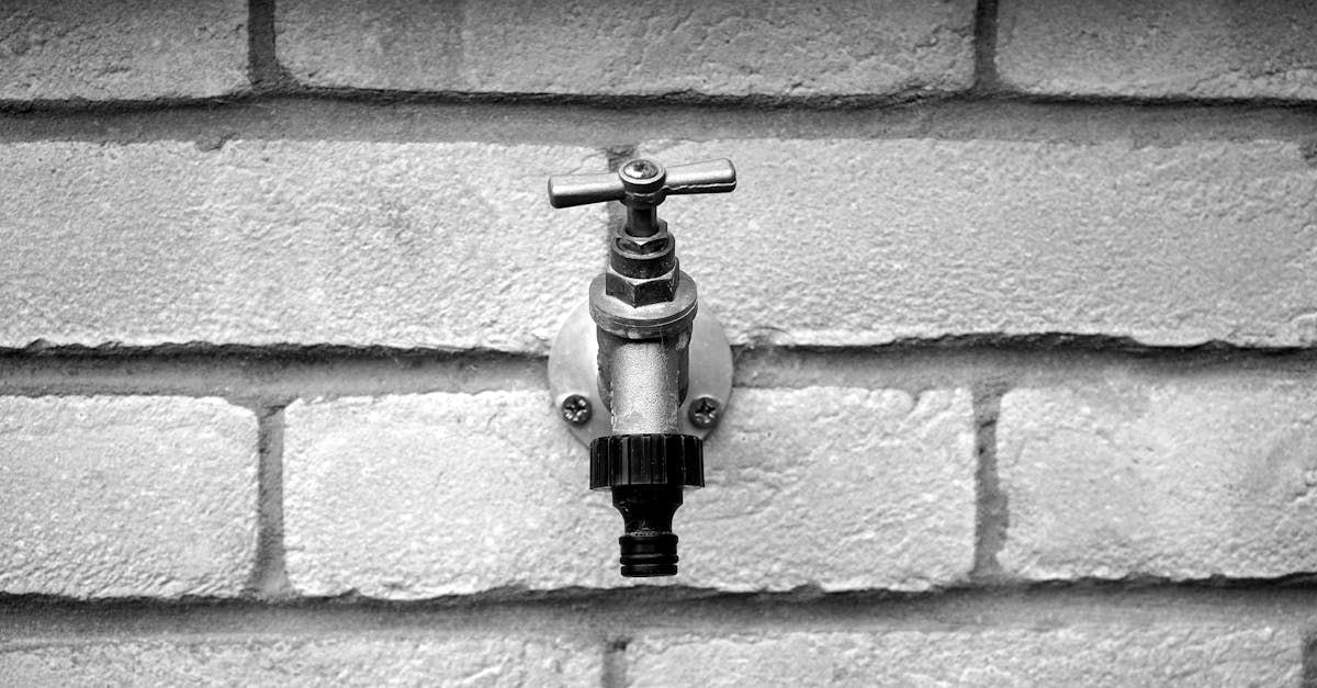 découvrez des solutions fiables et durables pour l'alimentation en eau, assurant un accès constant à une eau potable de qualité pour tous vos besoins domestiques et industriels.