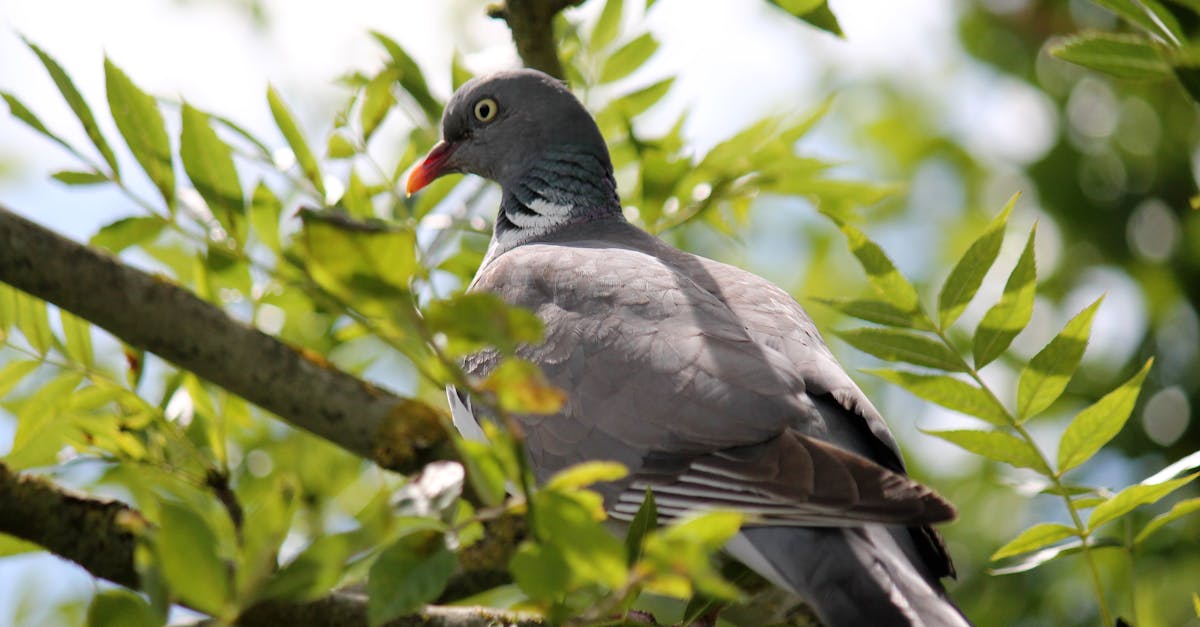contactez met france pour toutes vos demandes et informations. notre équipe est à votre écoute pour vous accompagner efficacement.