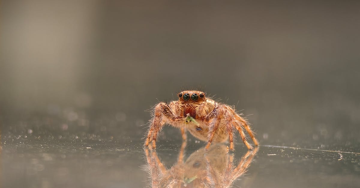 contactez edf pro pour toutes vos questions et besoins professionnels en électricité. service client dédié aux entreprises, solutions adaptées et support personnalisé.