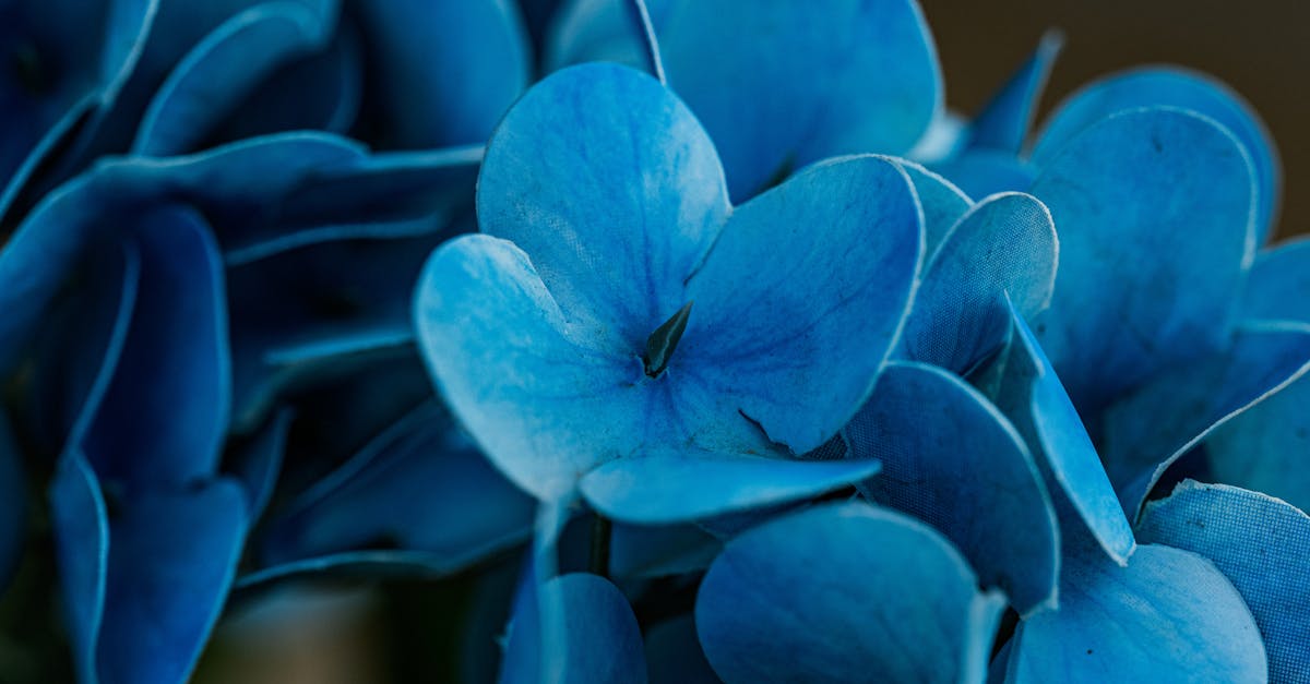 découvrez notre plan gratuit offrant des fonctionnalités essentielles pour démarrer facilement sans engagement.