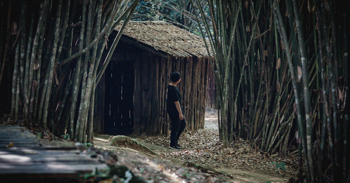 découvrez notre offre gratuite et profitez d'un plan sans frais avec des fonctionnalités essentielles pour bien démarrer.