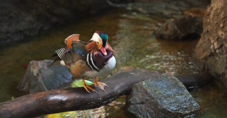 découvrez notre offre gratuite sans engagement pour profiter de nos services essentiels et tester toutes les fonctionnalités de base sans frais.