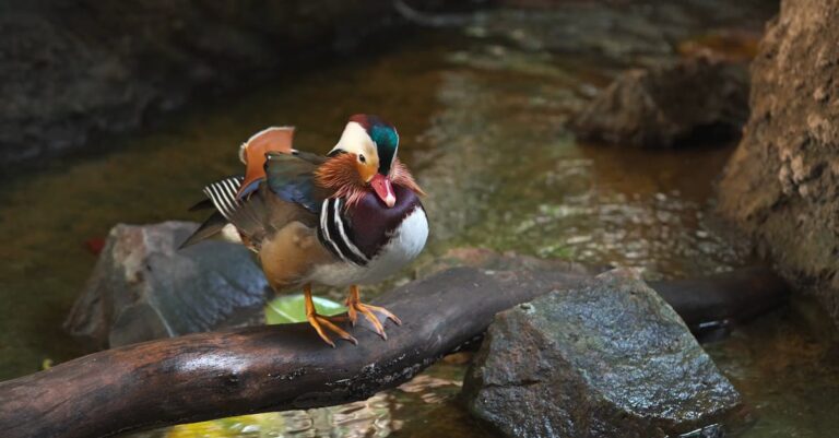 découvrez notre offre gratuite sans engagement pour profiter de nos services essentiels et tester toutes les fonctionnalités de base sans frais.