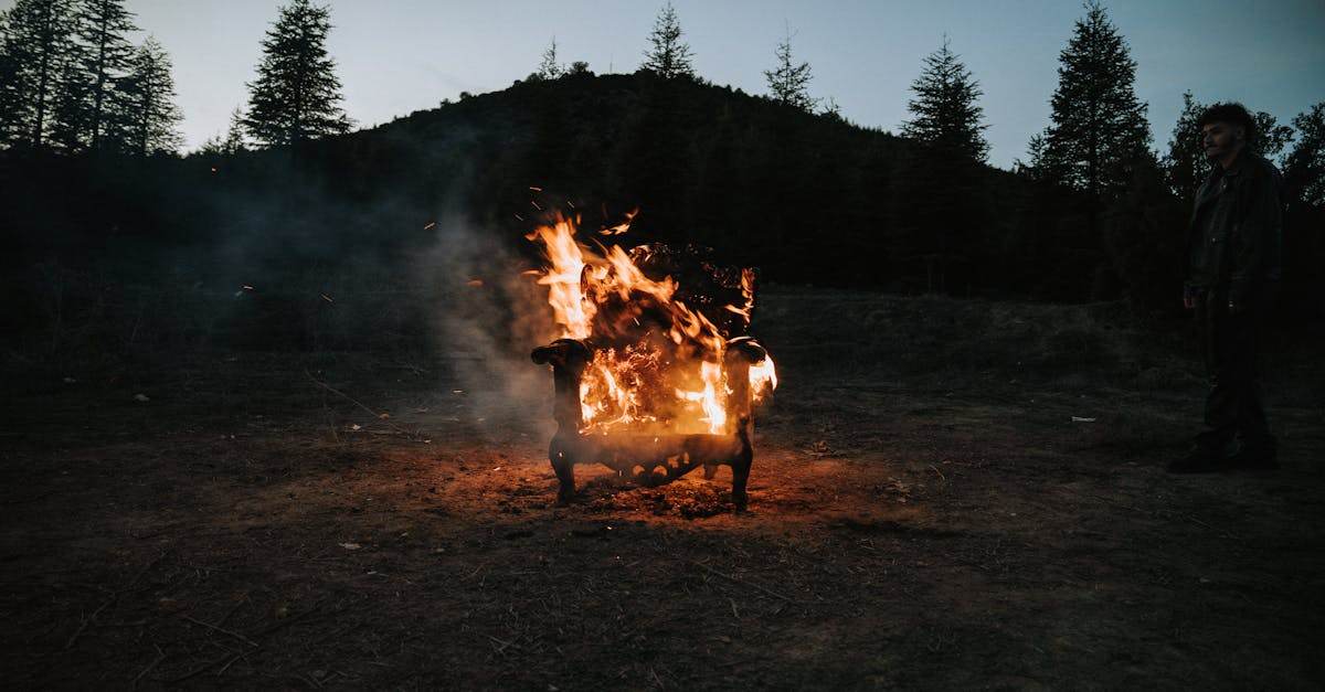 informations et conseils pratiques sur les coupures de courant en france : causes, prévention et démarches à suivre en cas de panne électrique.