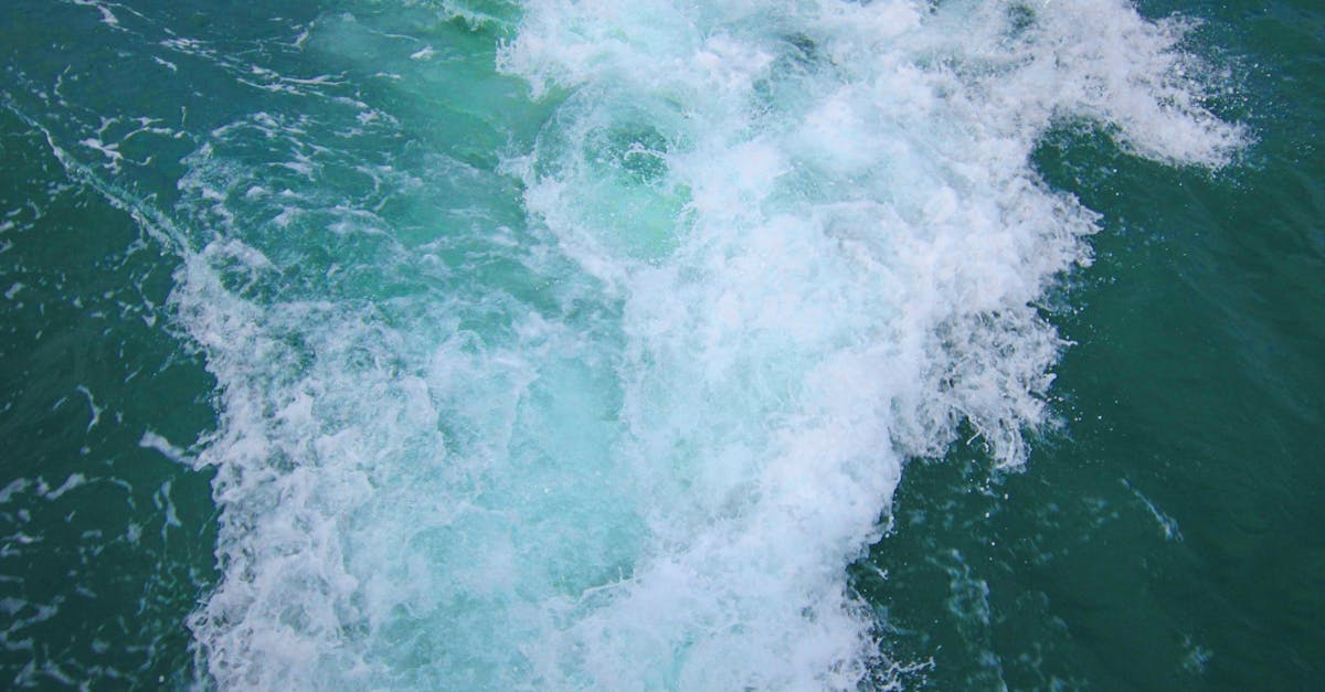 découvrez veolia water 83, expert en gestion durable de l'eau dans le var, offrant des solutions innovantes pour la qualité de l'eau et l'environnement.