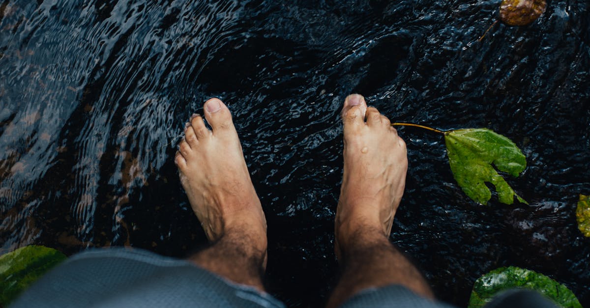 trouvez toutes les informations de contact pour veolia water : numéros de téléphone, adresses e-mail et coordonnées pour un service client efficace.