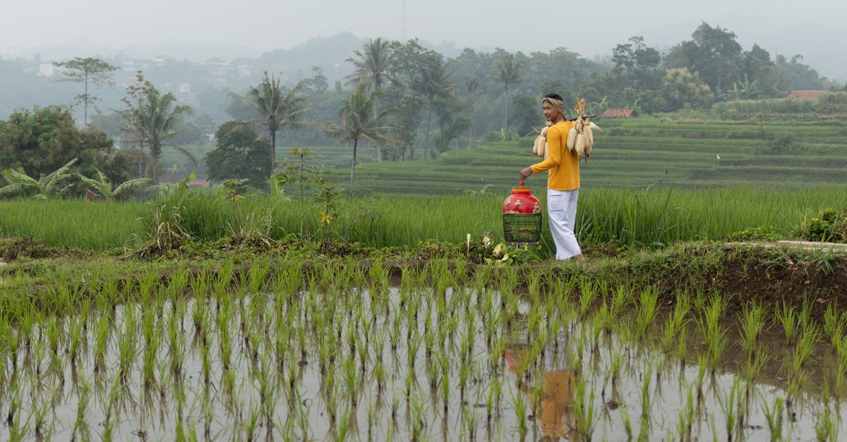 découvrez les meilleures pratiques et solutions innovantes pour une gestion efficace et durable de l'eau.