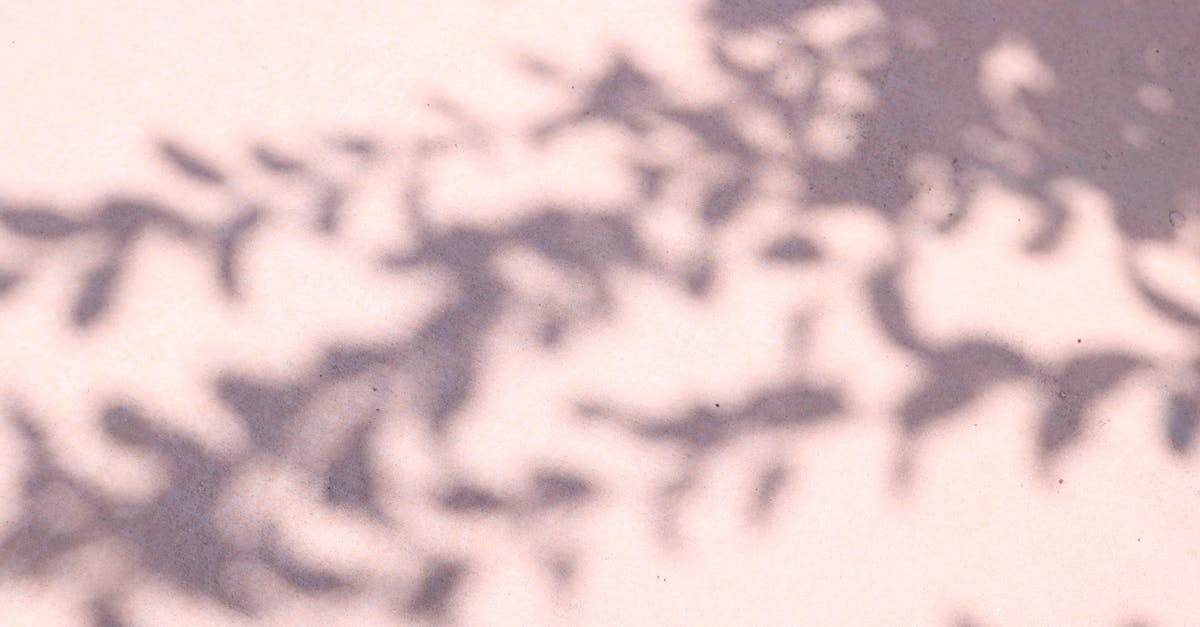 airalo est une plateforme innovante proposant des esim pour une connectivité mobile facile et économique partout dans le monde.