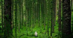 airalo est une plateforme innovante offrant des esim pour un accès internet facile et économique à travers le monde, idéale pour les voyageurs.