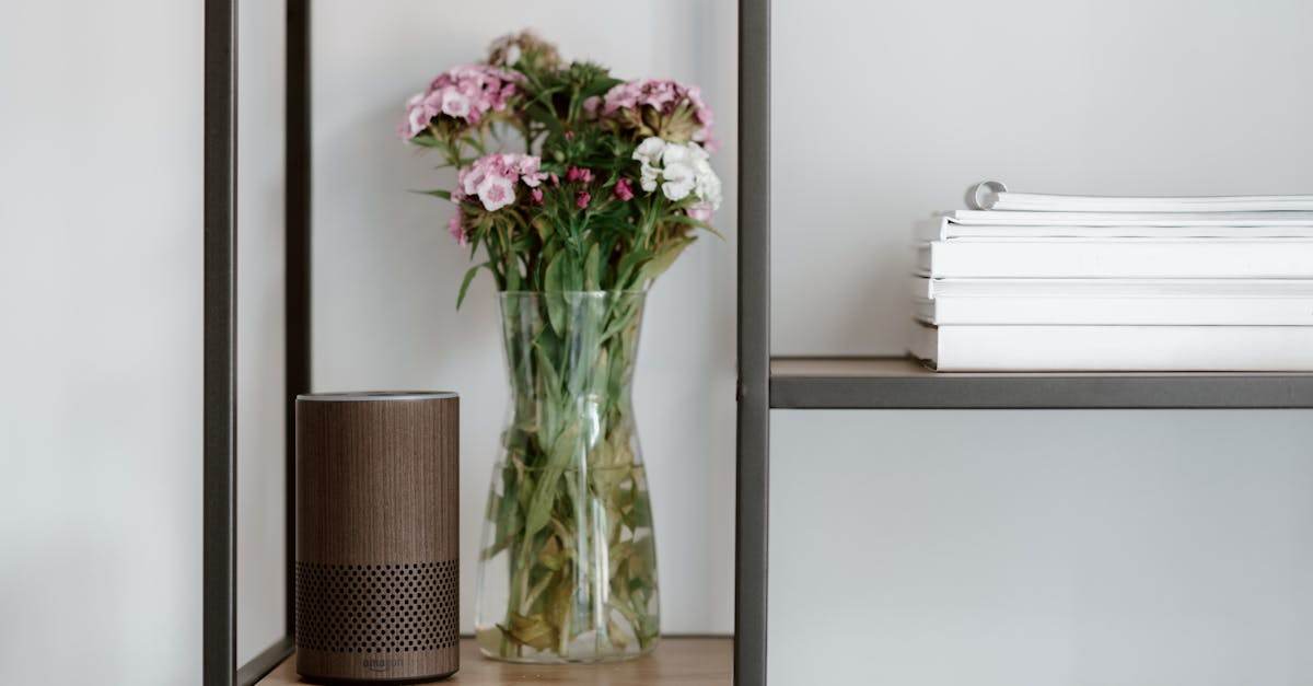 découvrez amazon alexa, l'assistant vocal intelligent qui facilite votre quotidien grâce à la commande vocale, la domotique, la musique et bien plus encore.