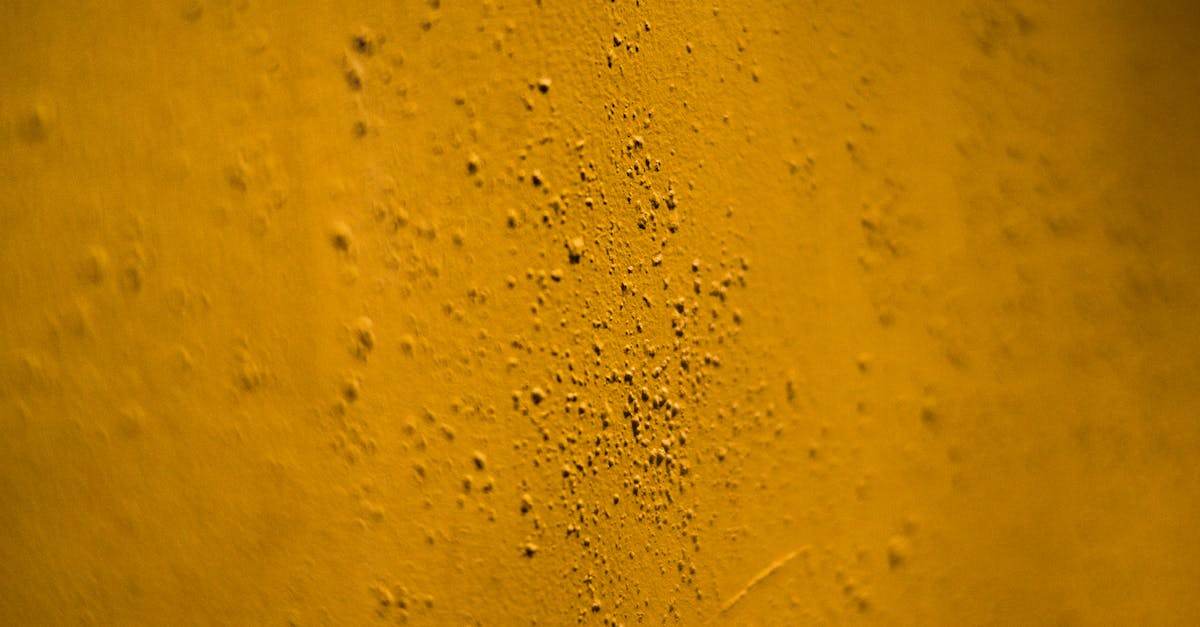 découvrez antargaz calypso, la solution pratique et économique pour vos besoins en gaz propane. profitez d'une énergie fiable pour votre maison et vos appareils.