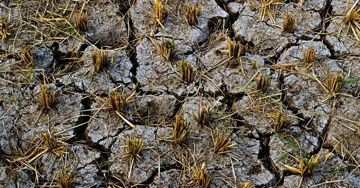 découvrez les différentes zones climatiques de la terre, leurs caractéristiques principales et leur impact sur l'environnement et la biodiversité.