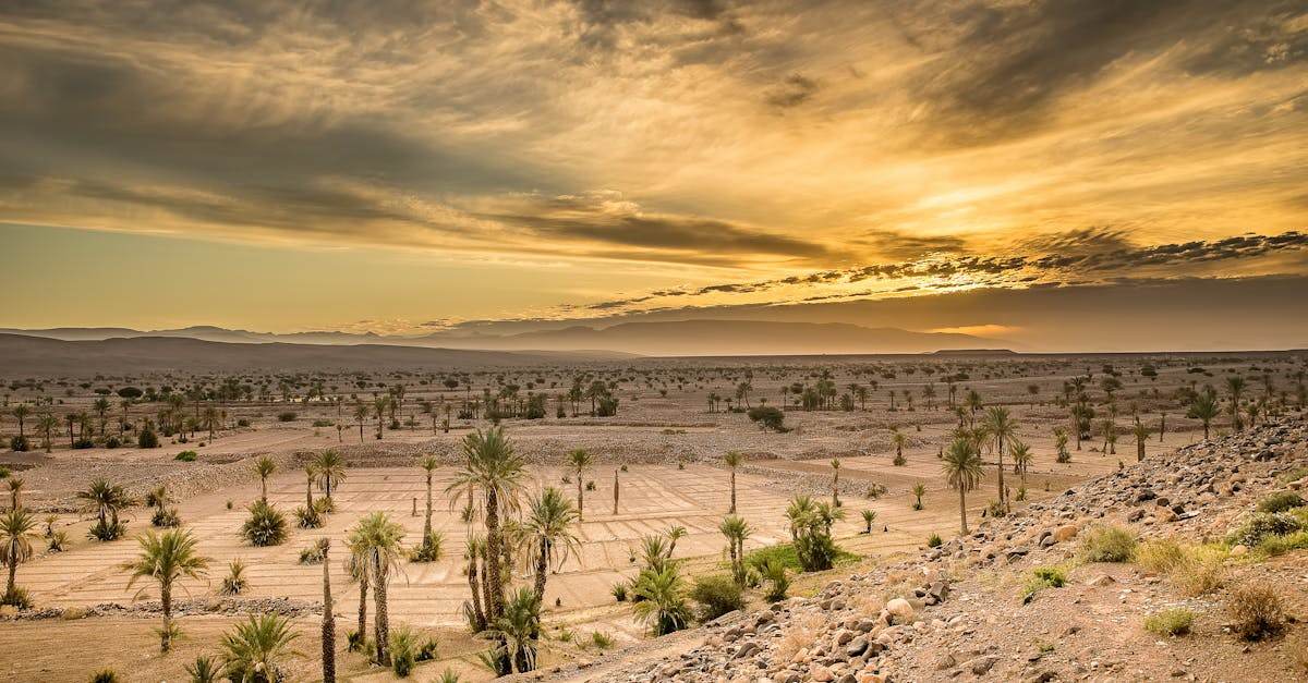 découvrez les différentes zones climatiques de la terre, leurs caractéristiques principales, et comment elles influencent les écosystèmes et les modes de vie.