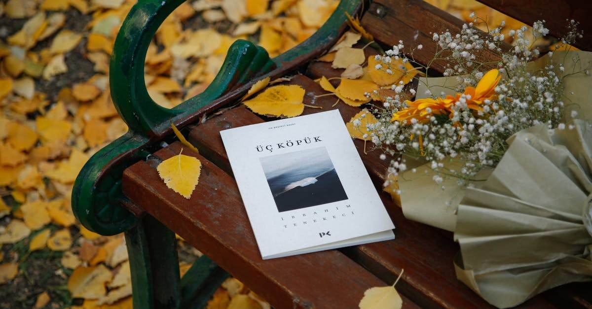 trouvez toutes les informations nécessaires pour nous contacter facilement : adresse, téléphone, email et horaires d'ouverture.