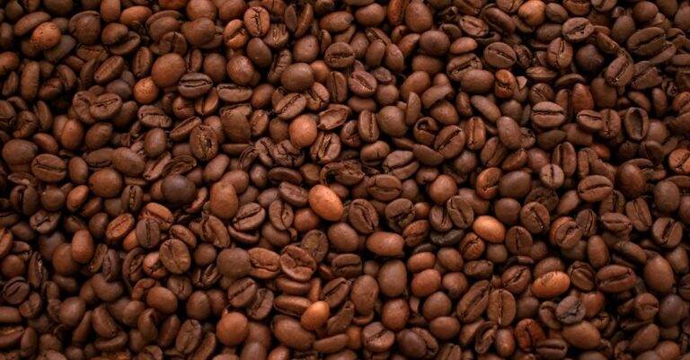 découvrez nos offres d'abonnement téléphonique fixe adaptées à vos besoins, avec des tarifs compétitifs et une qualité de connexion optimale.