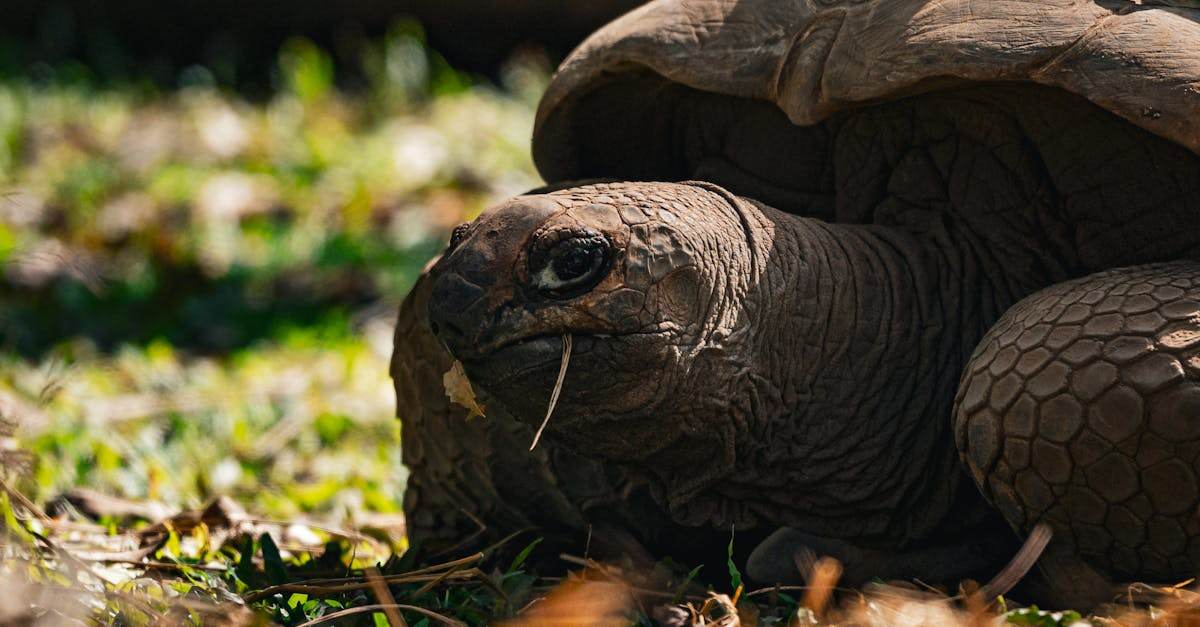 guide gratuit pour un déménagement réussi : astuces, conseils et checklist pour faciliter votre changement de domicile.