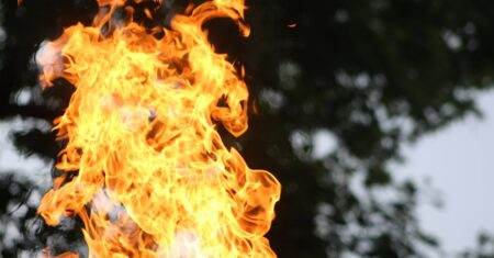 Pannes Free du jour : découvrez la carte des désagréments et soucis rencontrés avec Free en août 2025 découvrez les pannes gratuites : informations en temps réel et solutions rapides pour rétablir vos services sans coût supplémentaire.