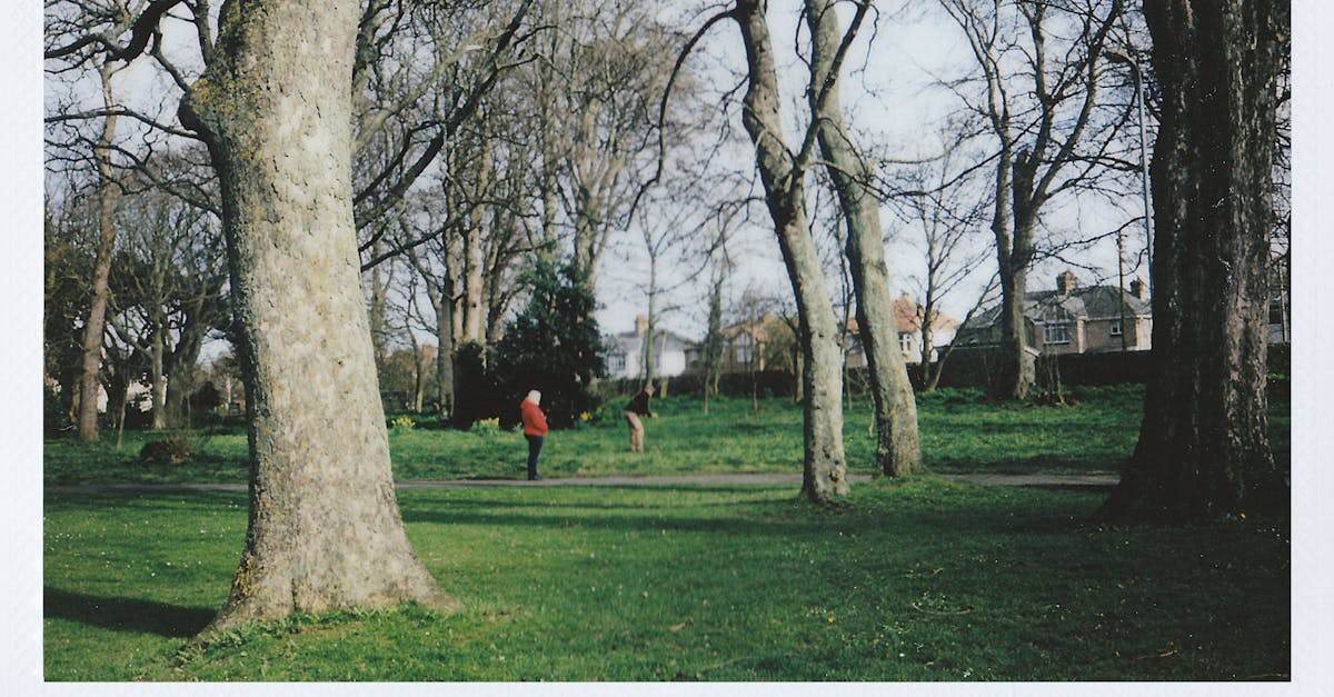 découvrez notre service de transfert instantané sécurisé et rapide, permettant d'envoyer et de recevoir de l'argent en temps réel, facilement et sans frais cachés.