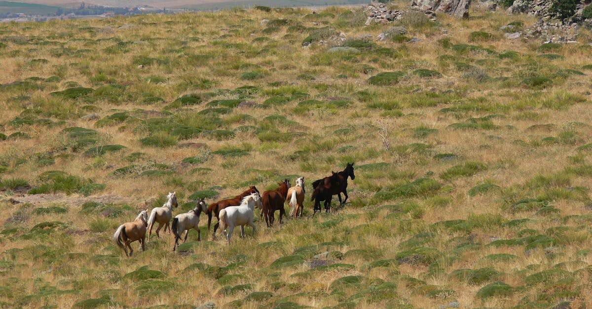 découvrez nos solutions d'itinérance internationale pour rester connecté partout dans le monde sans frais surprises.