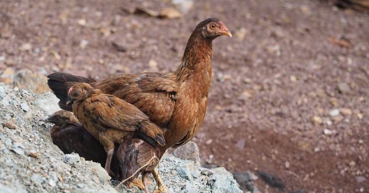 découvrez nos solutions d'itinérance internationale pour rester connecté partout dans le monde avec des tarifs avantageux et une couverture optimale.