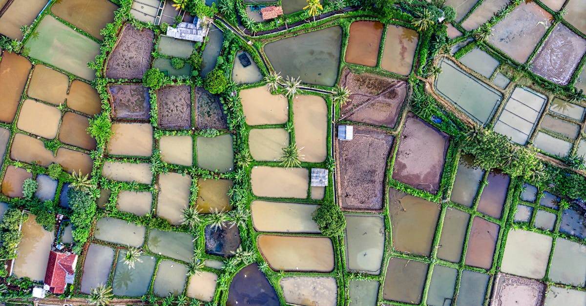 découvrez nos terrains à vendre, parfaits pour vos projets immobiliers ou agricoles. parcelles disponibles adaptées à vos besoins.