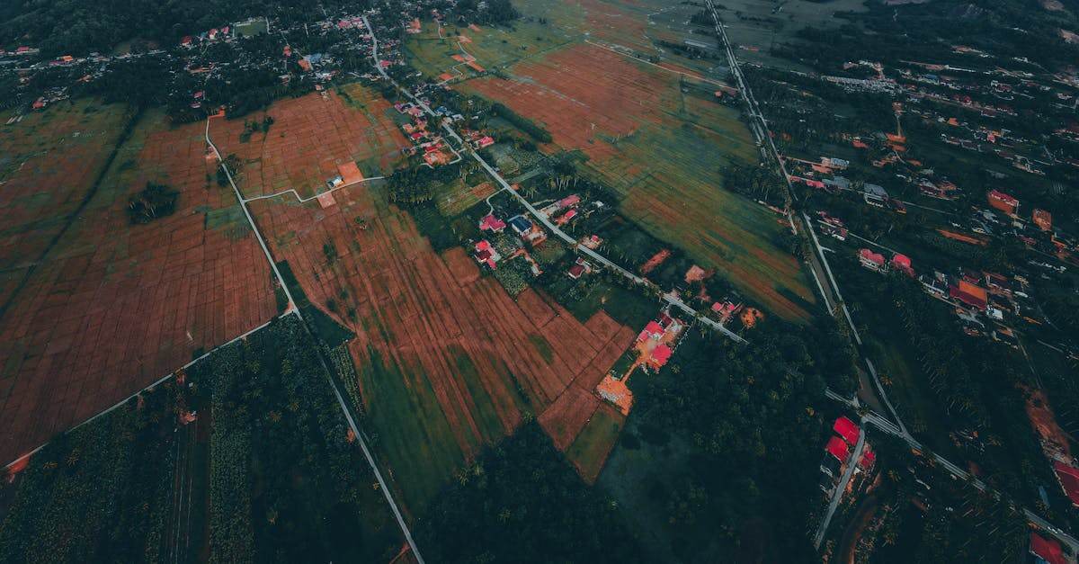 découvrez nos parcelles de terrain disponibles à la vente, idéales pour vos projets immobiliers ou agricoles. trouvez la parcelle parfaite adaptée à vos besoins.