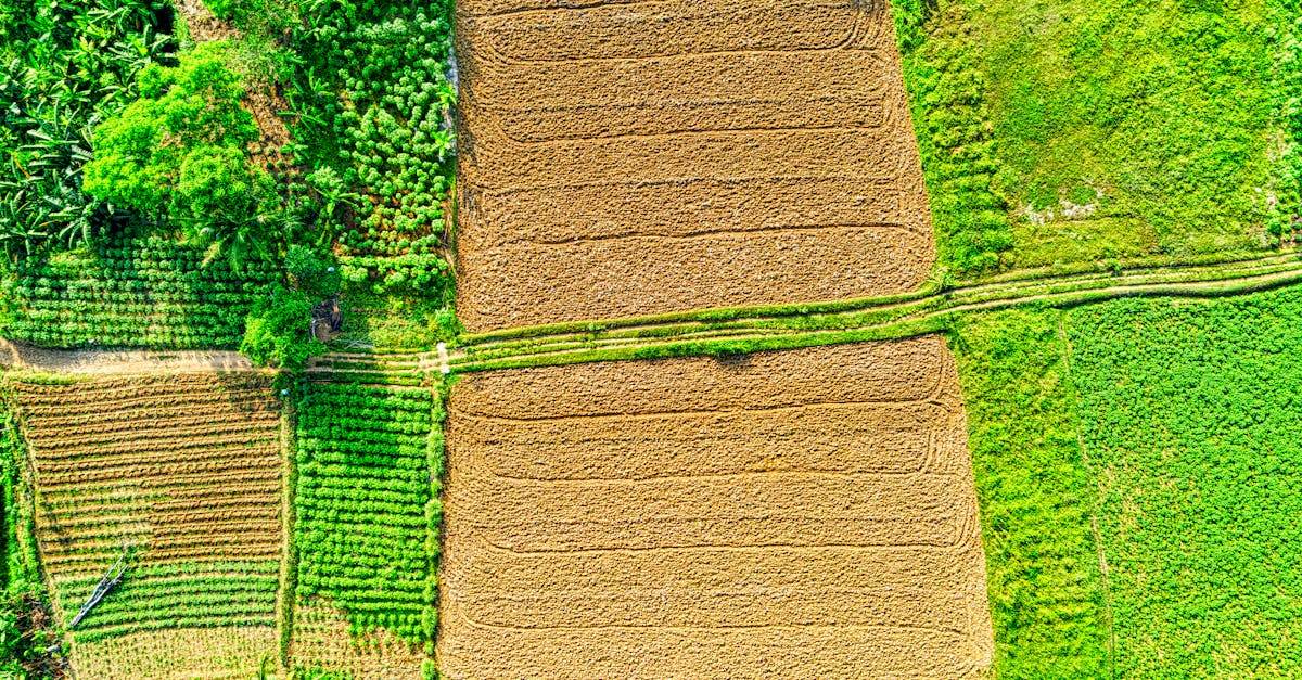 découvrez notre sélection de parcelles de terrain disponibles à la vente, idéales pour vos projets immobiliers ou d'investissement.