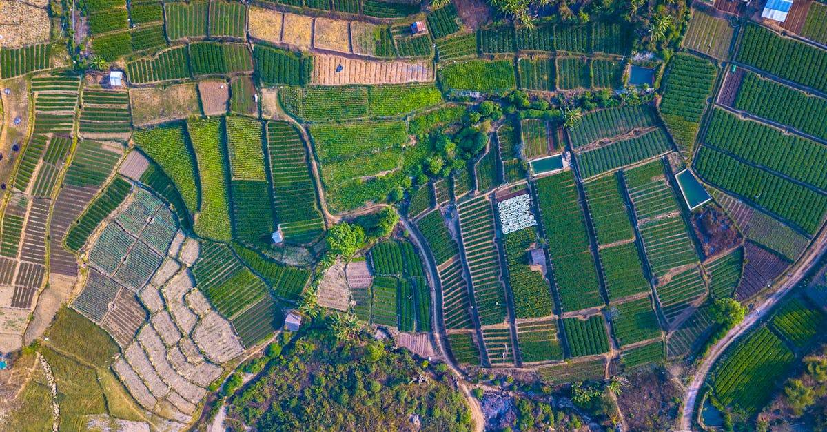 découvrez nos offres de parcelles de terrain adaptées à vos projets immobiliers. trouvez facilement la parcelle qu'il vous faut pour construire ou investir.