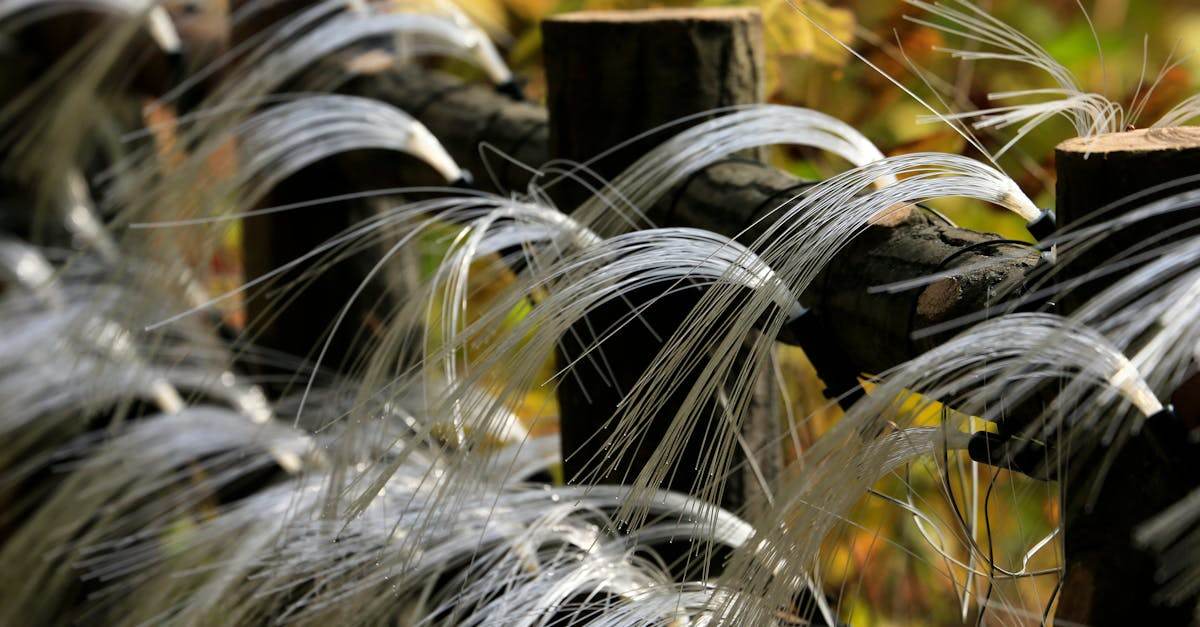 installation de la fibre orange : découvrez comment bénéficier d'une connexion internet ultra-rapide avec la fibre optique orange, étapes d'installation et conseils pratiques.