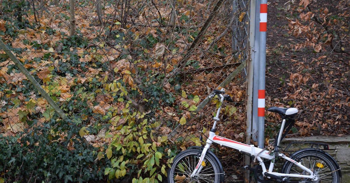 découvrez tout sur le propane : usages, avantages, sécurité et conseils pour une utilisation efficace de ce gaz énergétique polyvalent.